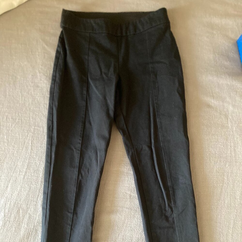 A New Day Dress Ankle Pants